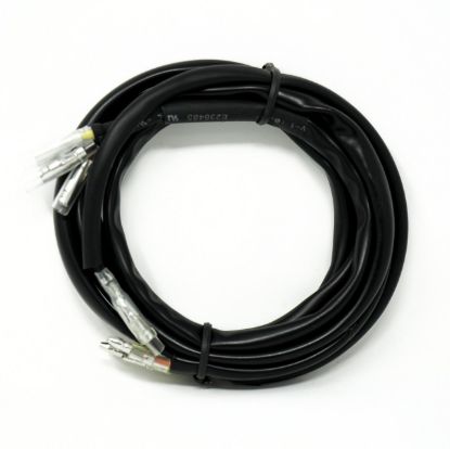 Picture of RTL-M License Plate Wiring Harness - Universal