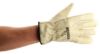 Picture of Leather Recovery Gloves