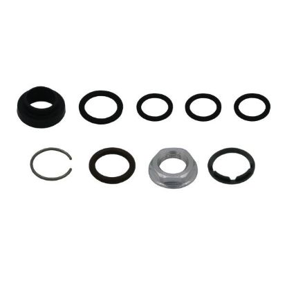 Picture of Apex RPV Rebuild Kit (Nut and Seals)