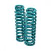 Picture of MRA coil  - Dobinsons - Nissan Y62