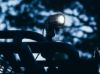 Picture of Ignite LED Backup Light, Surface Mount, Flood Diffused, Pair