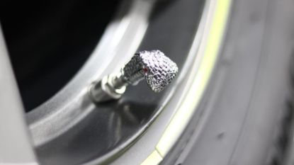 Picture of Tire Valve Cap - Cobra