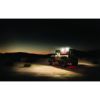 Picture of 1x2 65 Degree DC Scene Light, White