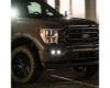 Picture of Ford F150 21-26 Dual Fog Mount Brackets With D-Series Pro LED Lights